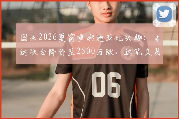 国米2026夏窗重燃迪亚比兴趣:吉达联合降价至2500万欧,这笔交易划算吗?实力与转会详情深度剖析