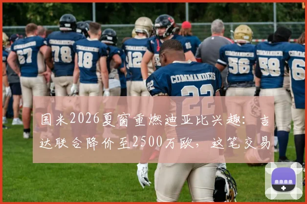 国米2026夏窗重燃迪亚比兴趣：吉达联合降价至2500万欧，这笔交易划算吗？实力与转会详情深度剖析